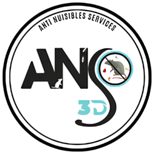 ANS 3D