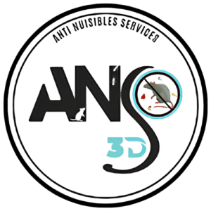 ANS 3D